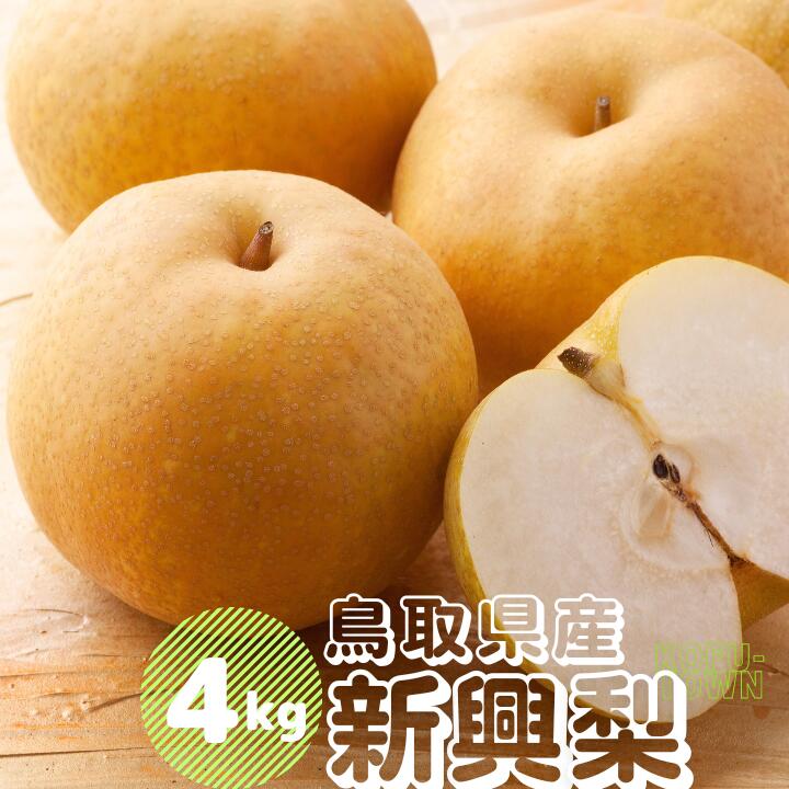 【ふるさと納税】新興梨 約4kg 5～16玉前後 先行予約受付 2025年秋冬収穫分 鳥取県産 ナシ 4キロ しんこうなし TM39 0694
