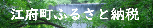 楽天市場】【ふるさと納税】水 サントリー天然水 24本×2箱 計48本 550ml 奥大山 SUNTORY ナチュラル ミネラルウォーター 軟水  産地直送 送料無料 500ml＋50ml 500 ミリリットル 防災 日々の備えに 定期便あり 0582 : 鳥取県江府町