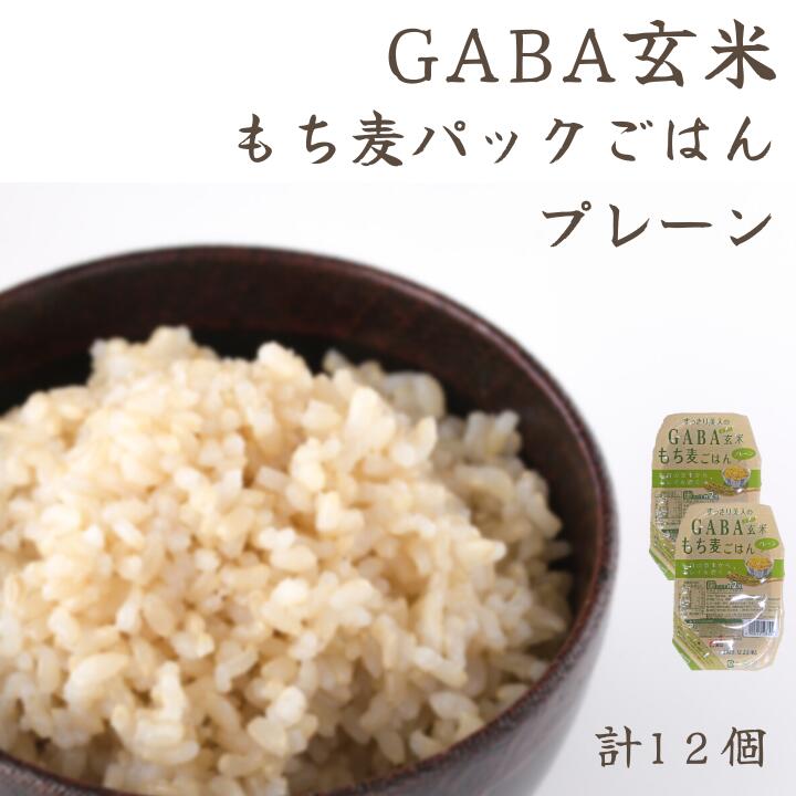 【ふるさと納税】GABA玄米もち麦パックごはん プレーン（12パック入り）きぬむすめ JA 0937