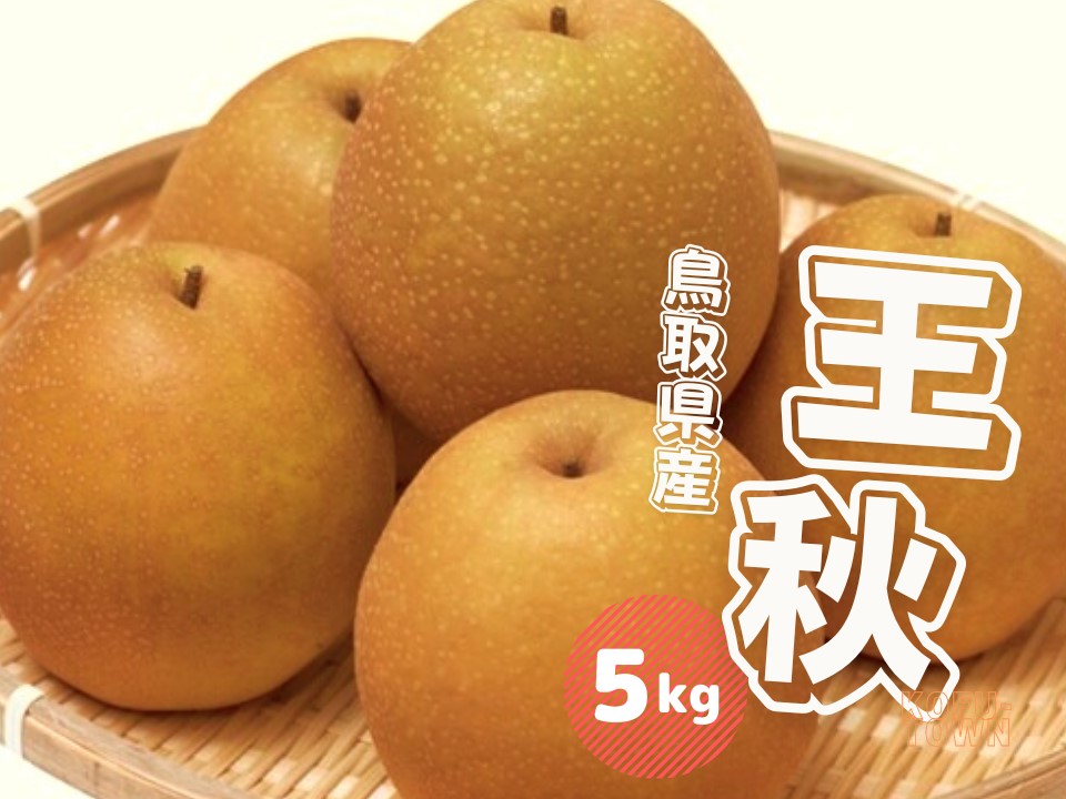 【ふるさと納税】 王秋梨 5kg 鳥取県産 先行予約受付（10月中旬～10月下旬頃発送）おうしゅう ナシ なし 5ｷﾛ 果物 JA米子・あいみ選果場 0612