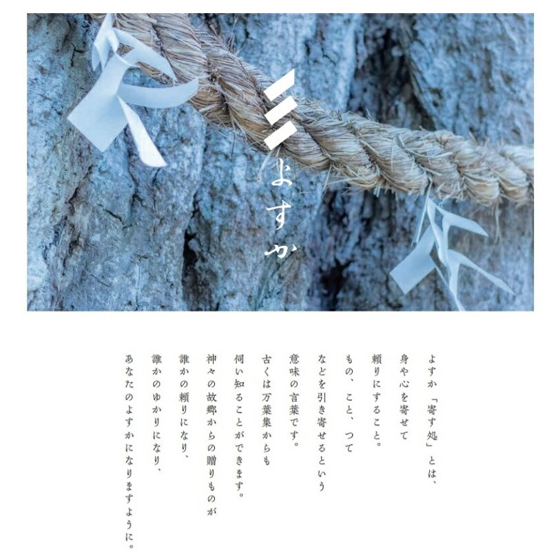 ふるさと納税 よすかの碗 鉢 植木鉢 磁器 3ナンバー 出雲 島根県工作 袖師焼 根もと汚点 寄せ植え 草木 花器 独自 インテリア装飾 松江 02 Effie Europe Com ふるさと納税 よすかの碗 鉢 植木鉢 磁器 3ナンバー 出雲 島根県工作 袖師焼 根もと汚点 寄せ植え 草木 花器 独自 インテリア装飾 松江 02 Effie Europe Com