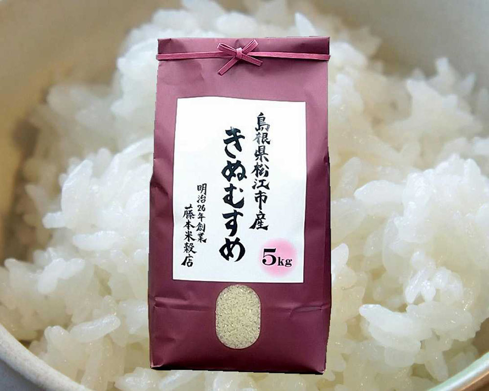 定期便 松江市産きぬむすめ5kg(計15kg) 米 全3回《22020-23》