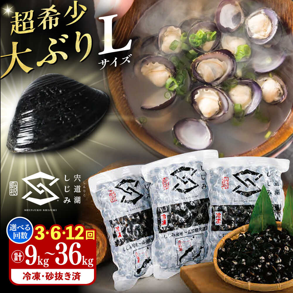 【ふるさと納税】【選べる 定期便】地元でも入手困難なレアサイズ！ Lサイズ 宍道湖産ヤマトシジミ(冷凍砂抜き済み)1kg&times;3袋(3kg) 島根県松江市/宍道湖漁業協同組合[ALAZ006]｜定期便 3回 6回 12回 人気 おすすめ しじみ シジミ 蜆 しじみ汁 味噌汁 みそ汁 冷凍｜島根県松江市