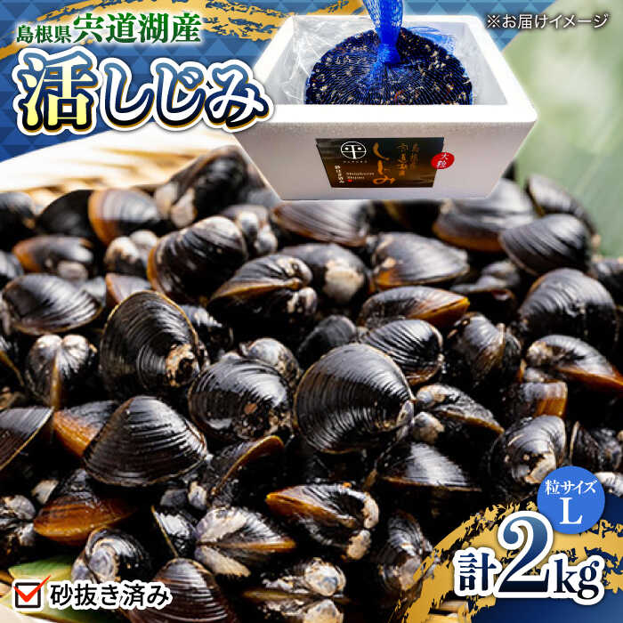 楽天市場】【ふるさと納税】シジミ 宍道湖産活大和しじみ(M)2kg(砂はき