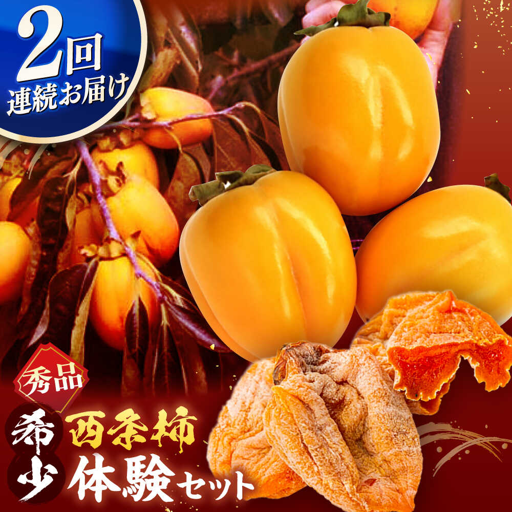 【ふるさと納税】【先行予約】【全2回定期便】柿の体験セット！ 合わせ柿6玉 つるし柿セット５kg  島根県松江市/マルカミ農縁株式会社 [ALCM016] ｜柿 カキ かき 秋