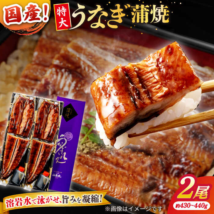 楽天市場】【ふるさと納税】うなぎ うなぎ老舗専門店のパリっと