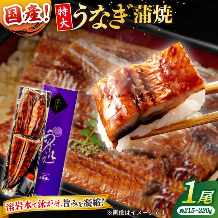 【ふるさと納税】【お中元対象】うなぎ うなぎ老舗専門店のパリっとふっくら国産うなぎ 蒲焼1尾(蒲焼のタレ付き) 島根県松江市/株式会社山美世商会[ALDC003]｜ 国産 うなぎ ウナギ 鰻 蒲焼き 蒲焼 国産 冷凍 うな重 ひつまぶし 丑の日 人気 おすすめ｜島根県松江市