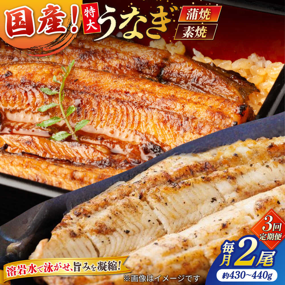 【ふるさと納税】【3回定期便】うなぎ老舗専門店のパリっとふっくら国産うなぎ 蒲焼1尾(蒲焼のタレ付き) 素焼1尾(藻塩付き) 島根県松江市/株式会社山美世商会[ALDC010]