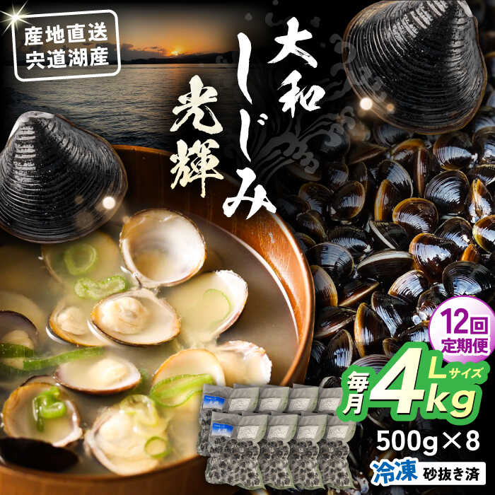 【ふるさと納税】【全12回定期便】産地直送！宍道湖産 冷凍大和しじみLサイズ4kg(500g×8) 砂抜き処理済 島根県松江市/りすたむmatsue[ALDE018]