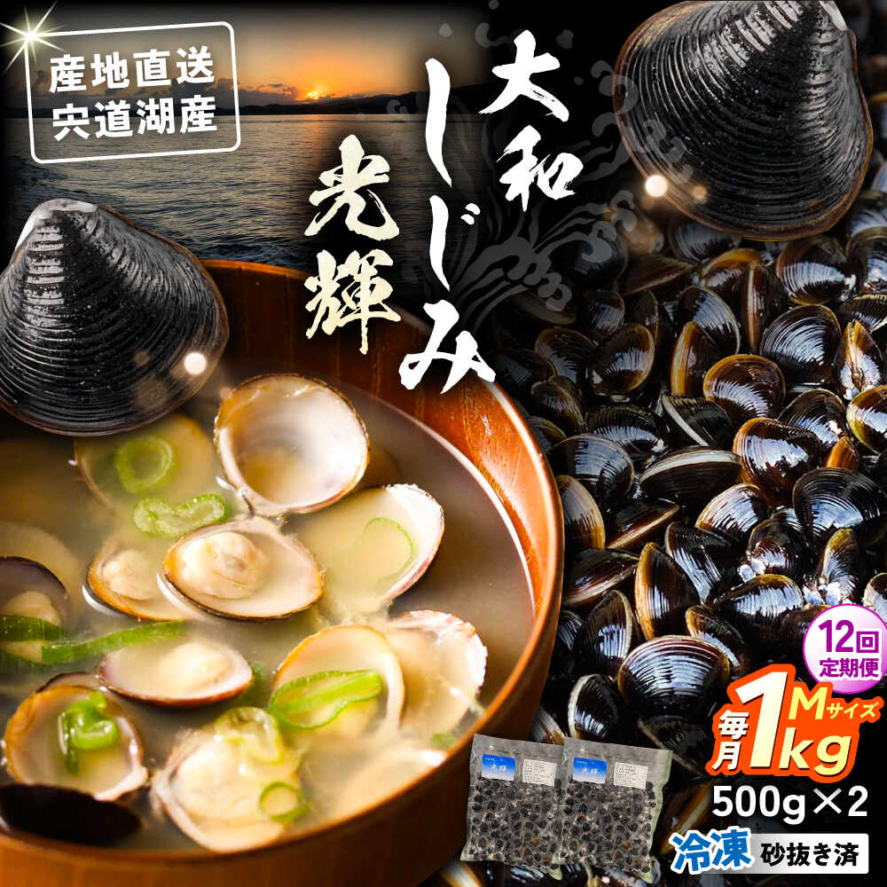 【ふるさと納税】【全12回定期便】産地直送！宍道湖産 冷凍大和しじみMサイズ1kg(500g×2) 砂抜き処理済 島根県松江市/りすたむmatsue[ALDE021]