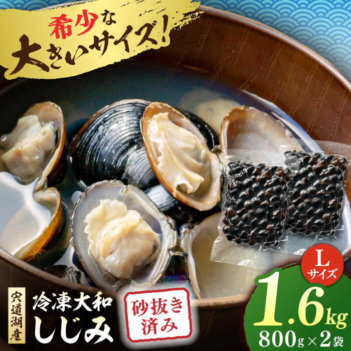 【ふるさと納税】宍道湖産 冷凍大和しじみ 砂抜き済 Lサイズ800×2袋(1.6kg) 島根県松江市/しじみ市場株式会社[ALDK005]｜シジミ 蜆 貝 魚貝類 魚介類 海鮮 簡単 お手軽 砂抜き不要 しじみ汁 大容量
