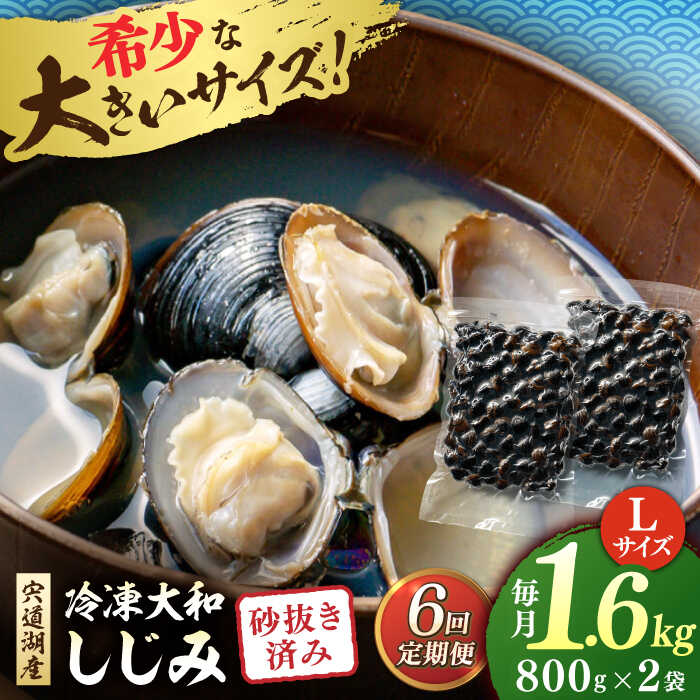 【ふるさと納税】【全6回定期便】しじみ 宍道湖産 冷凍大和しじみ 砂抜き済 Lサイズ800×2袋(1.6kg) 島根県松江市/しじみ市場株式会社[ALDK007]｜しじみ シジミ 蜆 貝 魚貝類 魚介類 海鮮 簡単 お手軽 砂抜き しじみ汁 大和しじみ 宍道湖 冷凍 味噌汁 お吸い物 料理