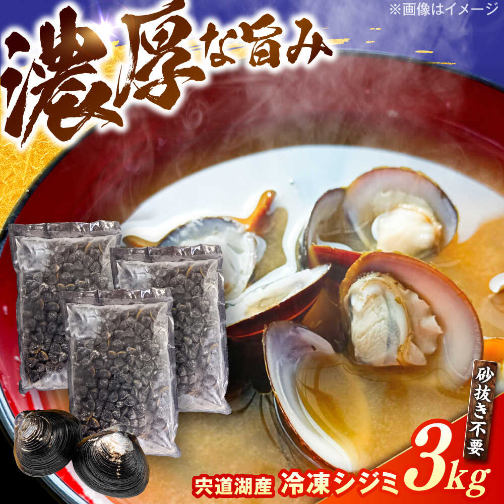 【ふるさと納税】濃厚な旨み！宍道湖産冷凍シジミ3kg　島根県松江市/株式会社山光食品[ALHZ003] 9,490円