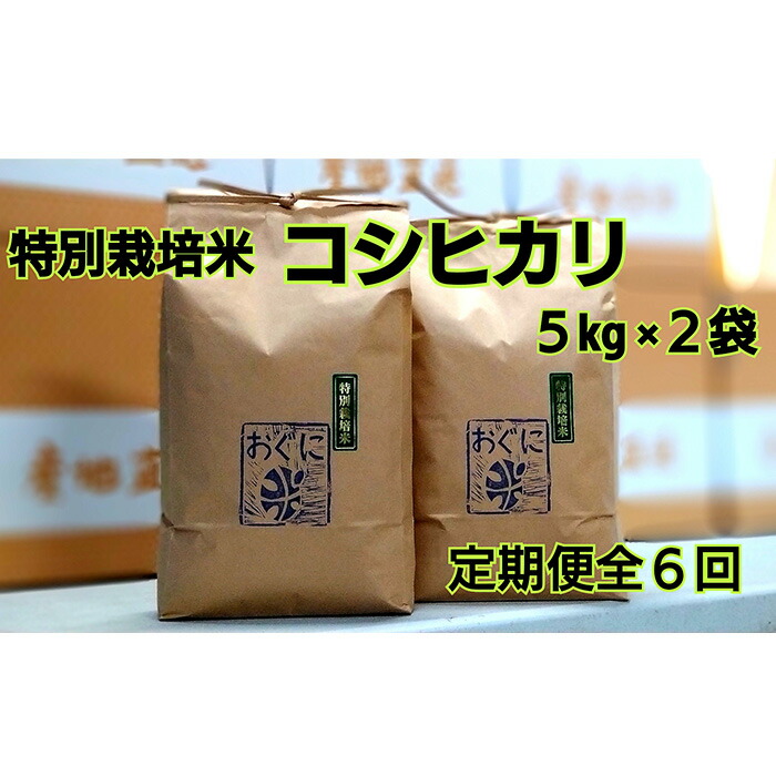 楽天市場】【ふるさと納税】【令和5年産】浜田市金城町産の美味しい