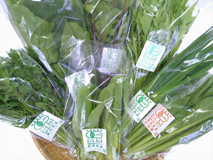 【ふるさと納税】みうらファームが選んだ 旬の有機野菜厳選８品セット 野菜 有機野菜 セット 厳選 8品 旬 有機JAS認証 詰め合わせ 産地直送 【109_1347】