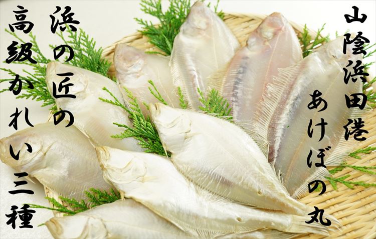 【ふるさと納税】あけぼの丸と浜の匠が贈る高級かれい3種一夜干しセット 魚介類 魚 干物 干もの 一夜干し カレイ 御中元 御歳暮 ギフト 贈り物 セット 個包装 【146_1056】