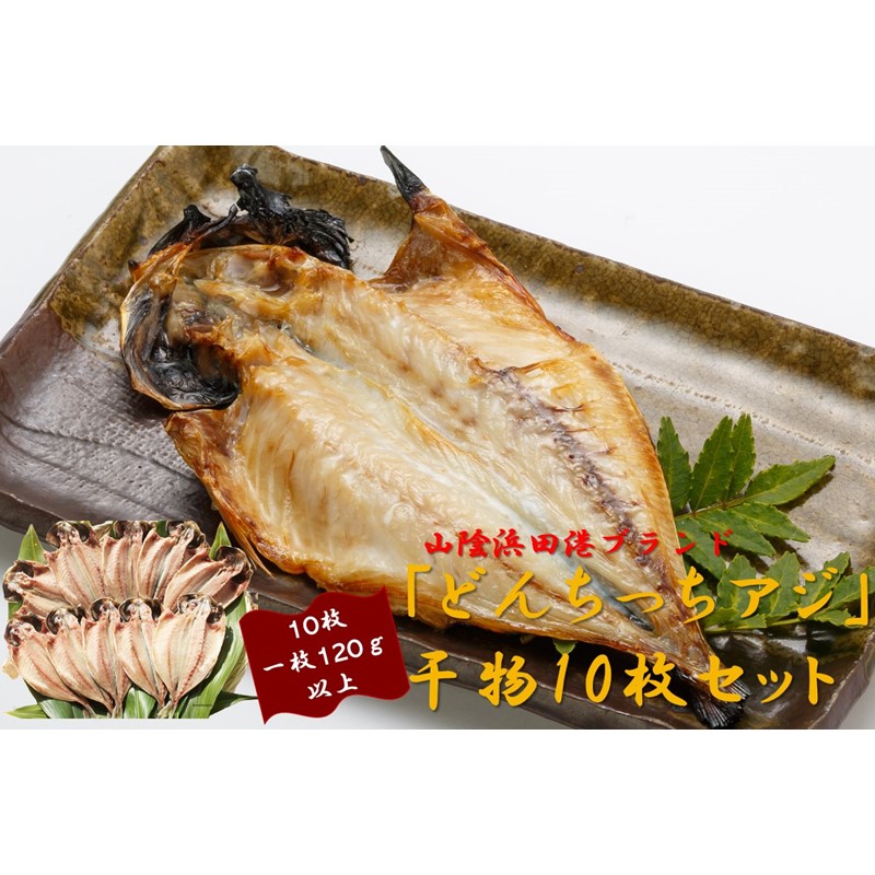【ふるさと納税】山陰浜田港ブランド「どんちっちアジ」干物10枚セット脂質含有量１０％以上 魚介類 干物 干もの 開き あじ 厳選 海鮮 セット 個包装【019_1940】