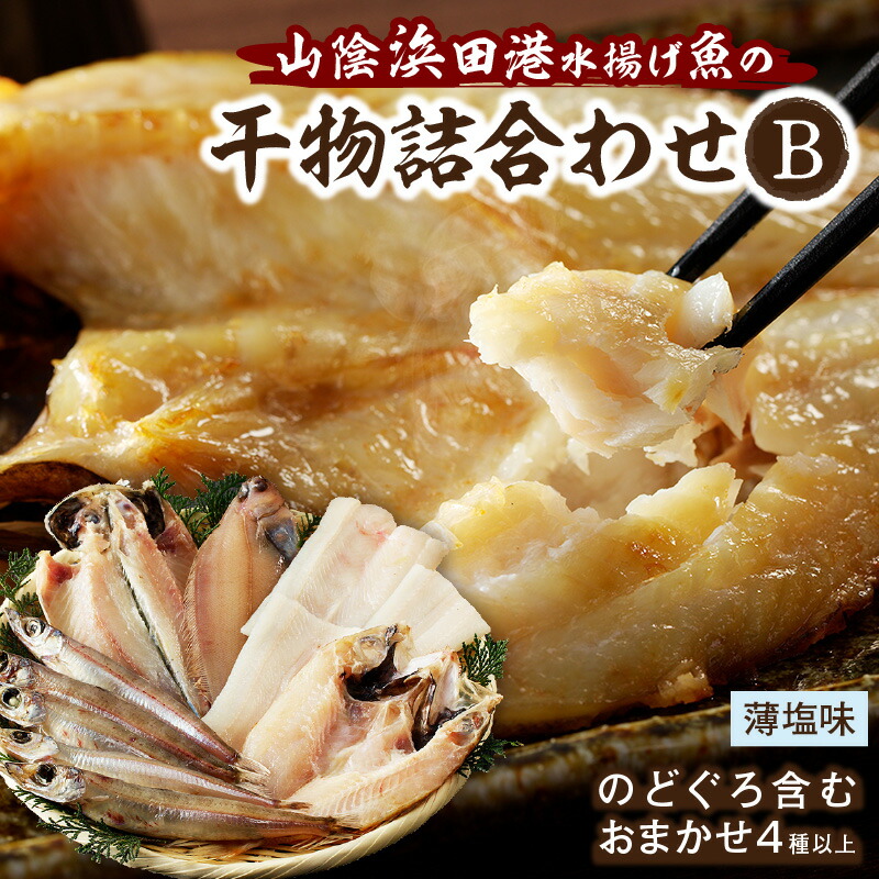 【ふるさと納税】【レビューCP対象】浜田港水揚げ魚の薄塩味干物B（のどぐろを含む） 個包装 小分け 魚介類 魚貝類 薄塩味 干物 干もの 一夜干し セット 人気 お取り寄せ 【019_0964】