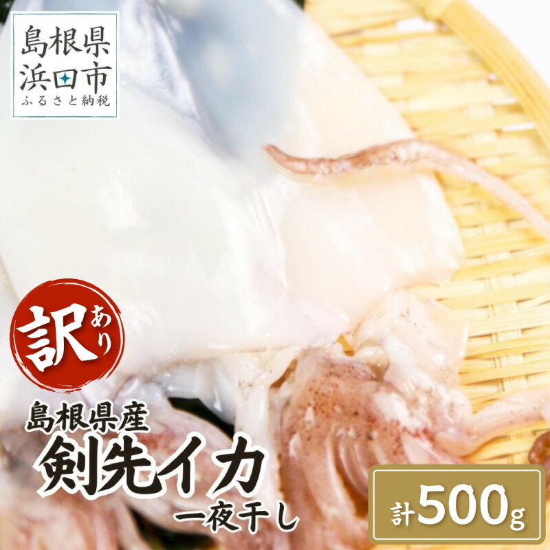 【ふるさと納税】訳あり品でも味は正規品　島根県産剣先イカ一夜干し計500g（5～10枚） ふるさと納税 イカ 干物 一夜干し 剣先イカ 訳あり 小分け 【005_2078】