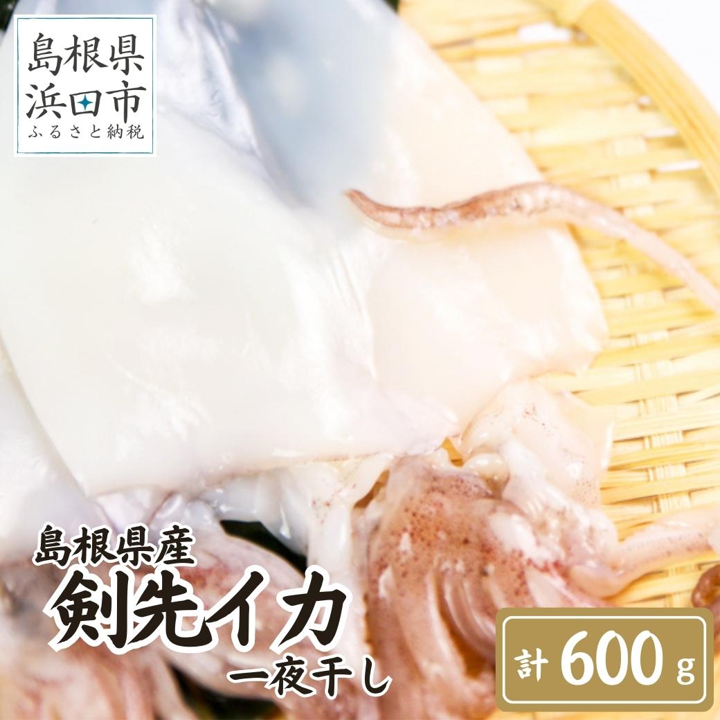 【ふるさと納税】【レビューCP対象】島根県産剣先イカ一夜干し　計600g（4～6枚）個包装・真空袋・ギフト 真空 個包装 訳あり 干物 白イカ 保存料不使用 大容量 剣先イカ 一夜干し ギフト 贈り物 【005_1781】