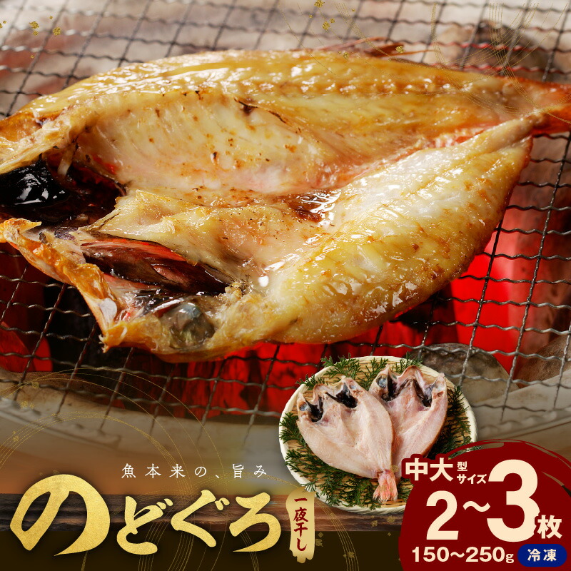 【ふるさと納税】のどぐろ一夜干し無添加個包装２～３枚「中～大型１５０～２５０ｇサイズ」 産地直送 干物 魚　一夜干し 人気 大きい 天然 ボリューム ノドグロ 【005_1928】