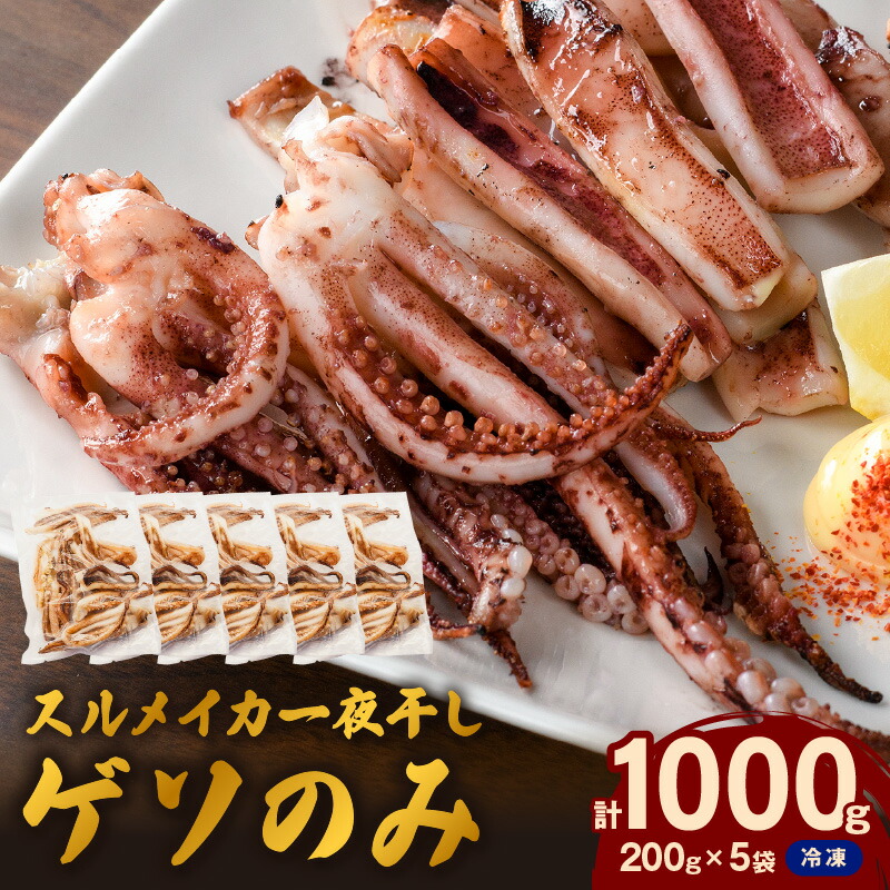 【ふるさと納税】【レビューCP対象】【訳あり】スルメイカ一夜干し”ゲソのみ”　計1,000g（小分け200ｇｘ5袋） 干物 国産 人気 大容量 小分け 訳あり 塩味付 いか おつまみ ふるさと納税 一夜干し 【005_1973】