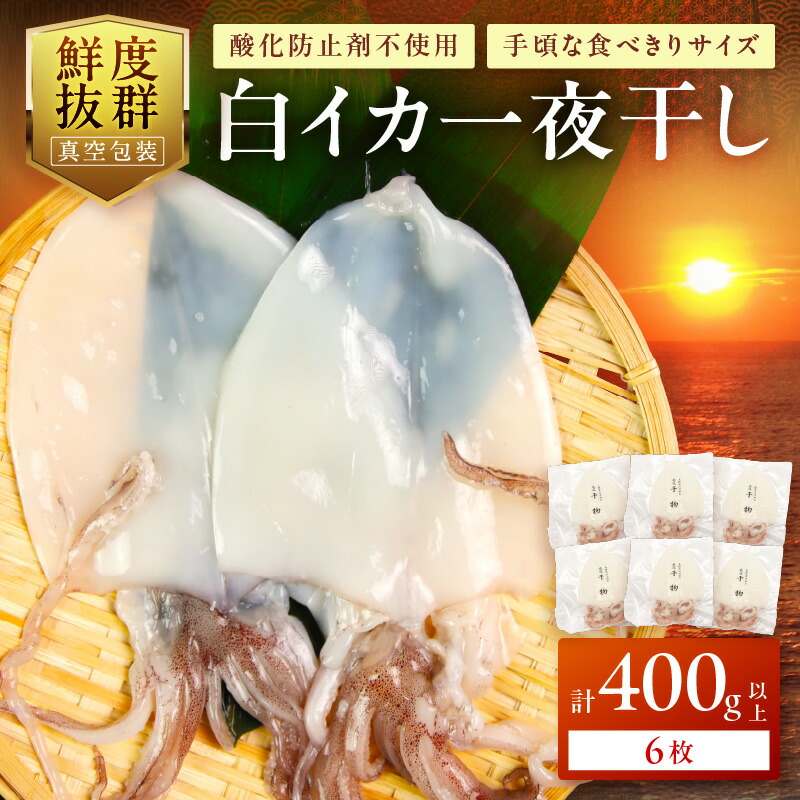 【ふるさと納税】【レビューCP対象】【父の日 お中元】島根県浜田加工　真空包装で鮮度抜群真イカの一夜干し6枚（計400ｇ以上） 産地直送 干物 イカ 人気 天然 ボリューム 真イカ 焼くだけ 剣先イカ 【005_1987】