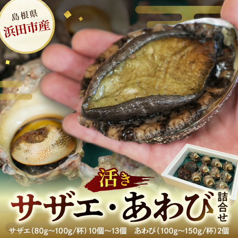 【楽天市場】【ふるさと納税】豪華サザエ・あわび詰合せ【本田商店】 海鮮 貝 ふるさと納税 サザエ ふるさと納税 あわび 鮑 詰め合わせ セット BBQ バーベキュー 【033_1775】:島根県浜田市