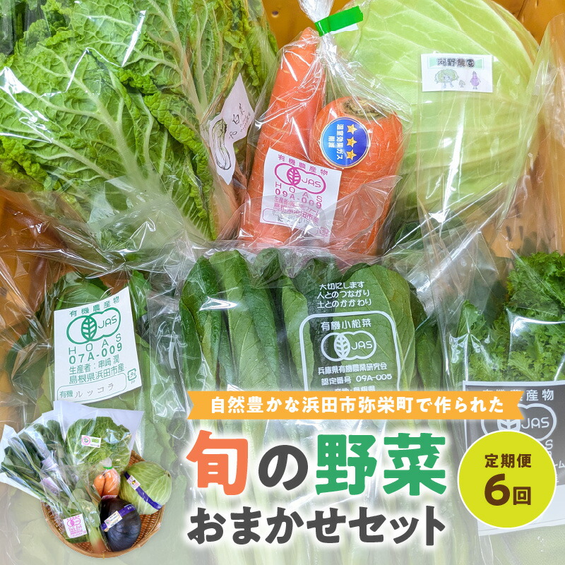 【ふるさと納税】自然豊かな浜田市弥栄町で作られた「旬の野菜おまかせセット」(６回コース) 野菜 定期 6回 旬 詰め合わせ おまかせ 直送 野菜セット セット 【109_0330】