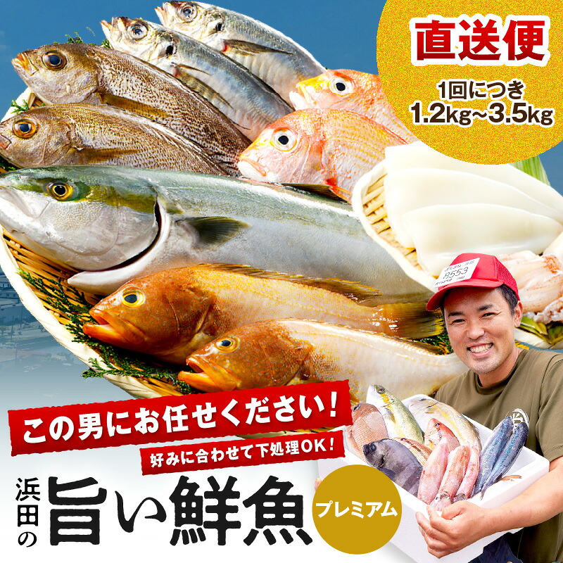 【ふるさと納税】浜田のプレミアム鮮魚～この男シリーズ～ 海鮮 鮮魚 詰め合わせ セット おまかせ 人気 お取り寄せ 【006_2045】 23,800円