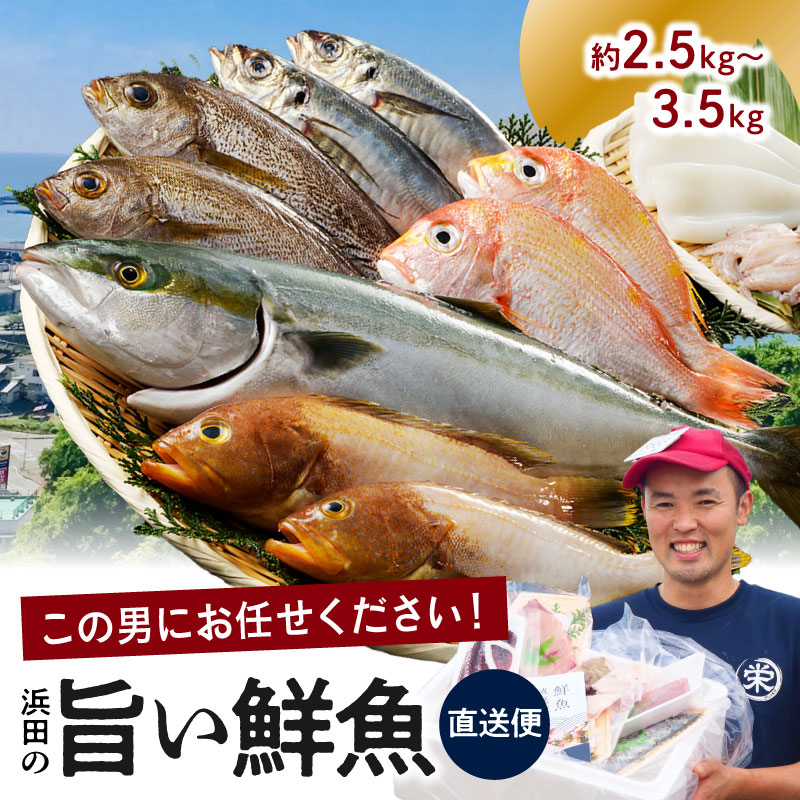 【ふるさと納税】【レビューCP対象】この男に任せてみませんか～浜田の旨い鮮魚直送便～ 海鮮 鮮魚 詰め合わせ セット おまかせ 人気 お取り寄せ 【006_0012】