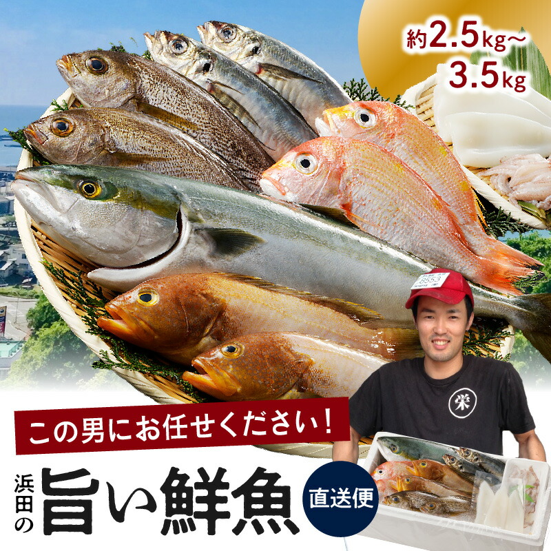 楽天市場】【ふるさと納税】赤てんセット 3枚×8袋 【1001】 : 島根県浜田市