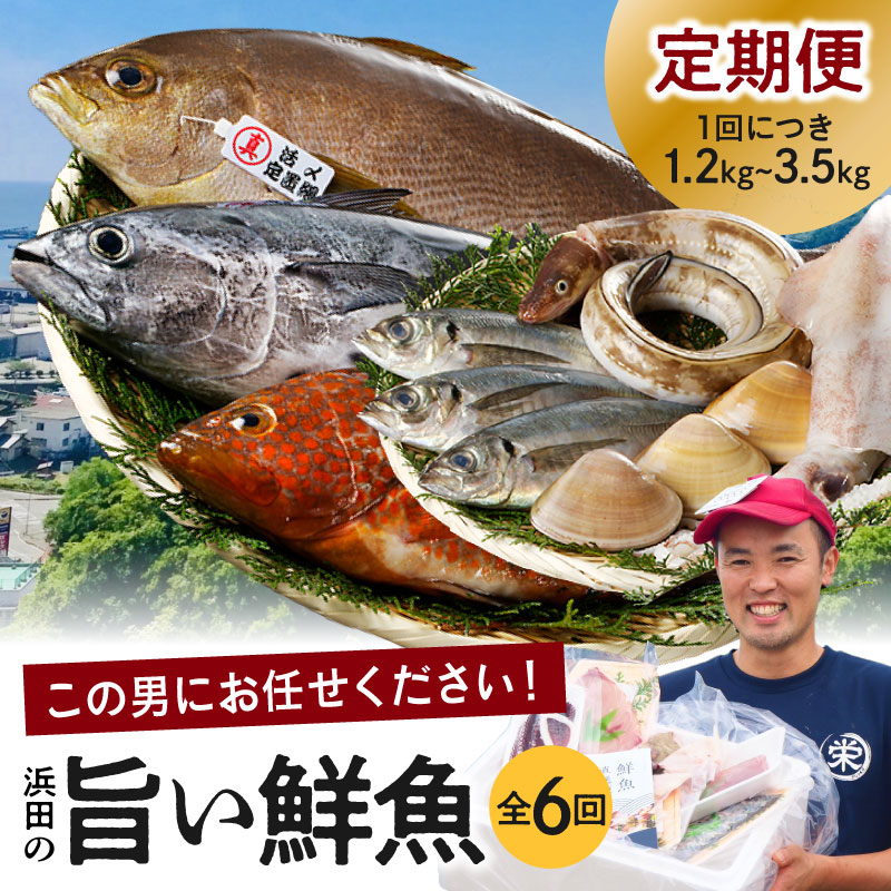 【ふるさと納税】【定期便】この男魅せる！～浜田の旨い鮮魚6回お届けコース～ プレミアム 鮮魚 定期便 6回 セット 詰め合わせ お取り寄せ 旬 【006_1703】