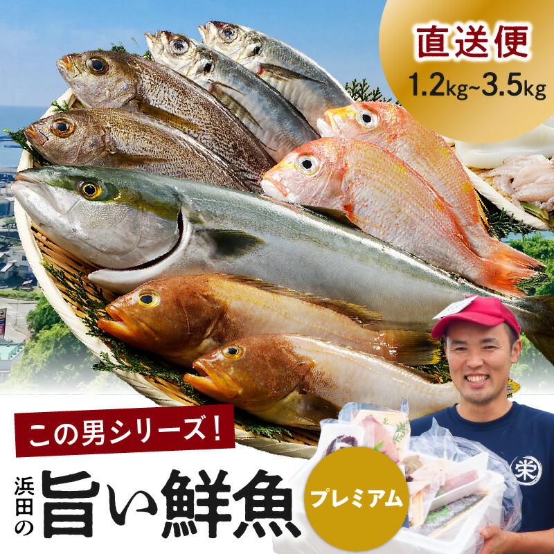 【ふるさと納税】浜田のプレミアム鮮魚～この男シリーズ～ 海鮮 鮮魚 詰め合わせ セット おまかせ 人気 お取り寄せ 【006_0855】