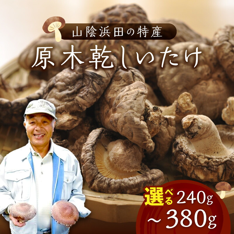 【ふるさと納税】山陰浜田の特産「原木乾しいたけ」【240g 380g】 選べる 内容量 椎茸 乾物 干し 乾燥しいたけ きのこ 原木栽培 原木椎茸 原木しいたけ 肉厚しいたけ|島根県浜田市