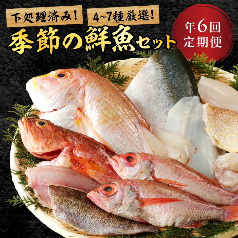 【ふるさと納税】【定期便】季節の鮮魚セット年6回コース 定期便 6回 鮮魚 お任せ お取り寄せ 魚介 鮮魚 セット 下処理済み 【096_0744】