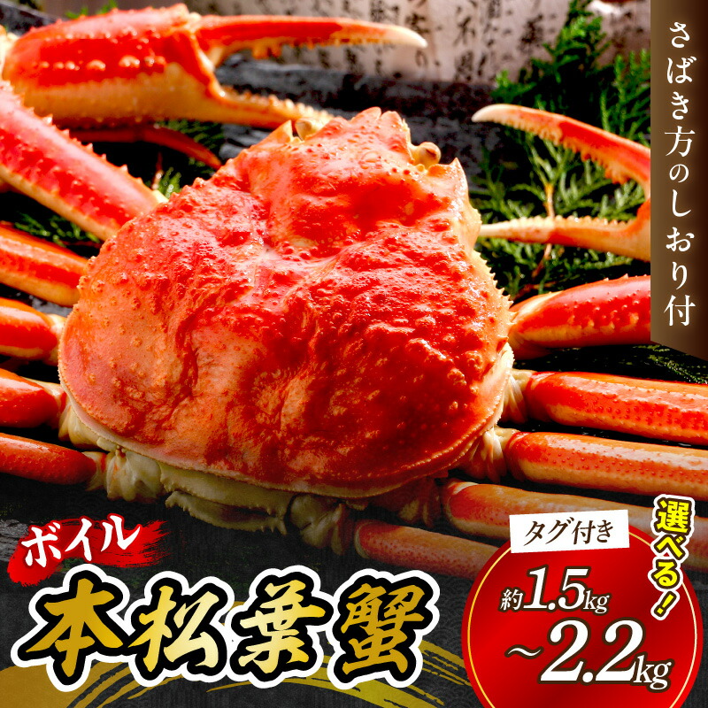 【ふるさと納税】【先行予約】【 国産日本海の松葉蟹をボイルでお届け！ 】 ボイルしてお届け。本松葉蟹 特大2杯 大3杯 4～5杯（タグ付き）＜12月10日～2月末までのお届け＞ 国産 魚介類 魚貝類 海の幸 カニ クリスマス 年内配送 年末年始配