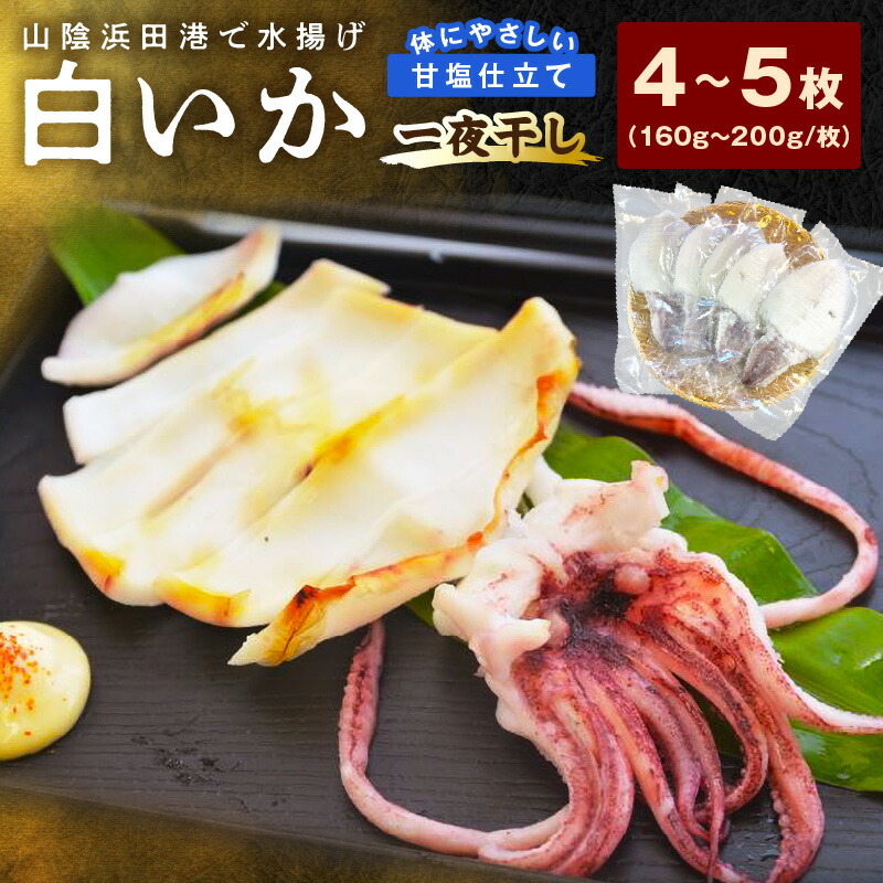 【ふるさと納税】大きな「白いか一夜干し（４枚～５枚）」 白いか 一夜干し 干物 干もの 一夜干し 御中元 御歳暮 ギフト 新鮮 厳選 海鮮 セット 個包装 魚介類 【136_1181】