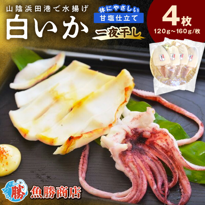 【ふるさと納税】【山陰浜田港・水揚げ】 白いか一夜干し（4枚） 魚介類 魚貝類 干物 干もの 一夜干し 白いか 特産品 つまみ 加工品 【136_1996】｜島根県浜田市