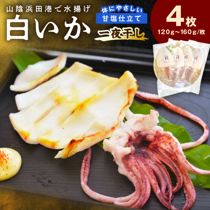 【ふるさと納税】【レビューCP対象】【山陰浜田港・水揚げ】 白いか一夜干し（4枚） 魚介類 魚貝類 干物 干もの 一夜干し お中元 お歳暮 白いか 特産品 つまみ 加工品 【136_0961】