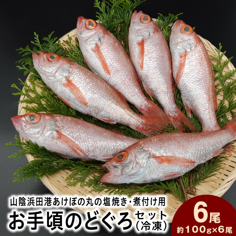 【ふるさと納税】山陰浜田港あけぼの丸の塩焼き・煮付け用お手頃のどぐろセット（冷凍）魚介類 魚貝類 のどぐろ 塩焼き 煮付 内臓処理済み 【146_1496】