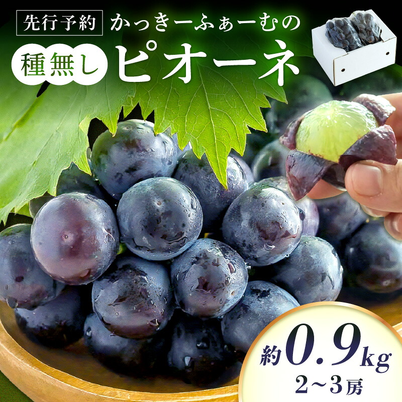 【ふるさと納税】【先行予約】《2026年8月下旬頃から発送》種無しピオーネ 約0.9kg 2～3房 果物 ピオーネ ぶどう 先行予約 期間限定 数量限定 【183_1883】