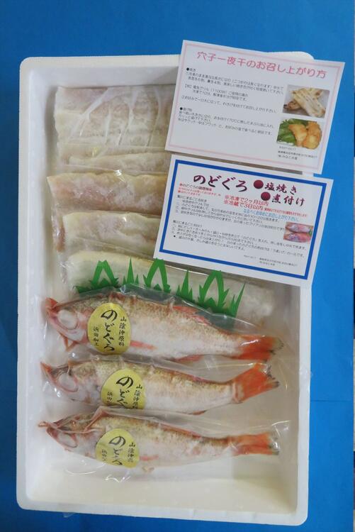 ふるさと納税 13 山陰産のどぐろ 大 塩焼煮付け用3尾 穴子一夜干セット Napierprison Com