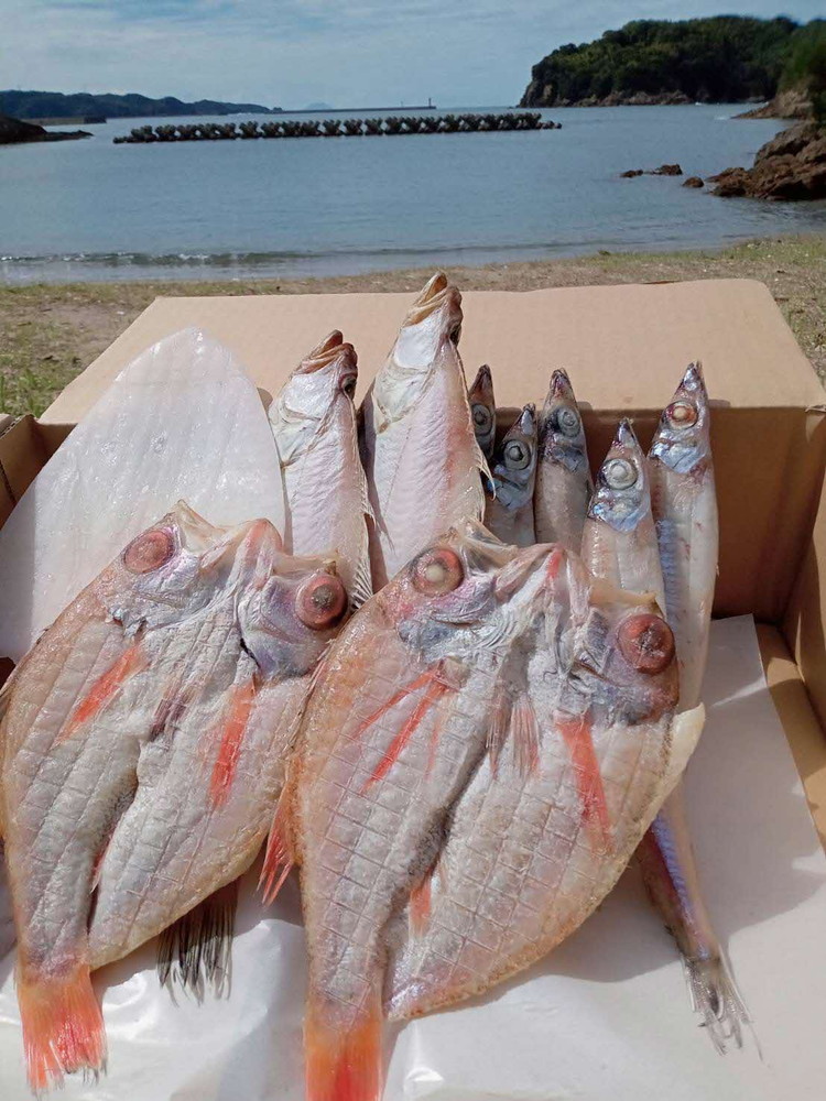 【ふるさと納税】しまね浜田の美味しい のどぐろ カレイ 白イカ 沖キス 一夜干しセット 魚介類 魚貝類 魚 干物 一夜干し セット 詰め合わせ 【161_1708】｜島根県浜田市