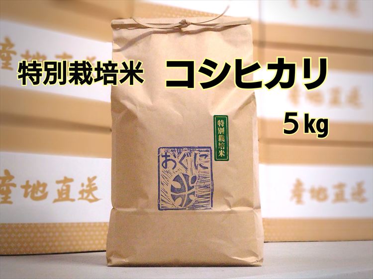 【ふるさと納税】【令和7年産】浜田市金城町産 農家直送特別栽培米 コシヒカリ 5kg 米 お米 精米 白米 ごはん おぐに 新生活 応援 準備 5キロ 特別栽培米 農家直送 【071_2072】｜島根県浜田市