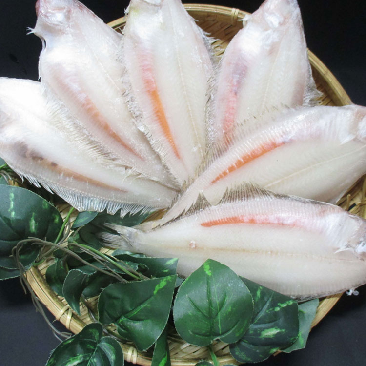 ふるさと納税 1295 大秀商店 子持ち笹かれい 中 6尾入り 魚介類 魚貝類 笹かれい 配送方法 Volleybalcluboegstgeest Nl