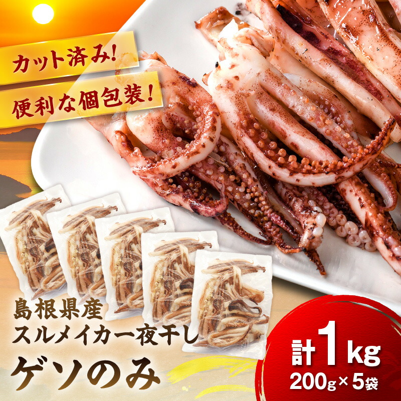 【ふるさと納税】【訳あり】スルメイカ一夜干し”ゲソのみ” 計1,000g（200ｇｘ5袋） ふるさと納税 干物 イカゲソ 国産 人気 大容量 小分け 訳あり 塩味付 いか おつまみ 一夜干し 【005_0140】