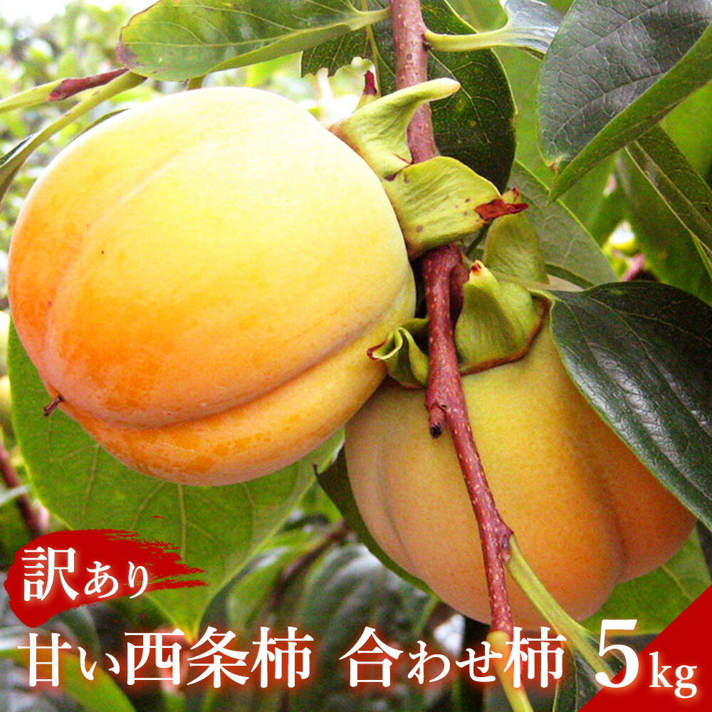 【ふるさと納税】【先行予約】浜田自慢 訳あり甘い西条柿（合わせ柿）5kg≪10月下旬発送開始≫ 【145_1169】