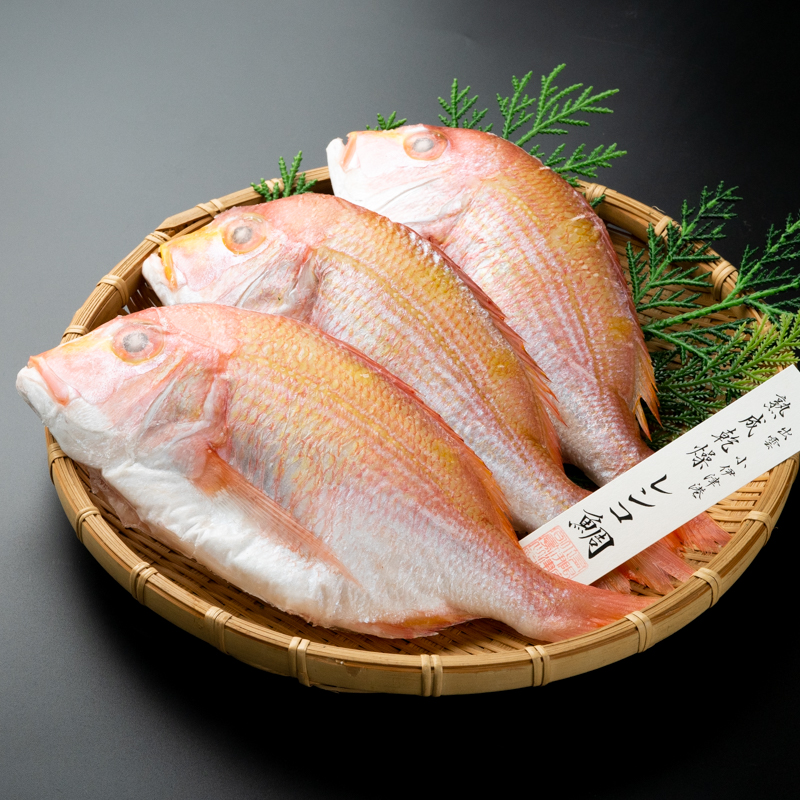 21春夏新色 天然 釣り レンコ鯛 750g 250g 3尾 下処理済 タイ 魚 魚介類 海の幸 Fucoa Cl