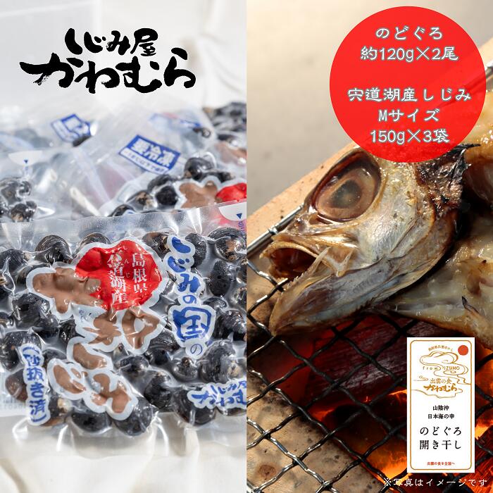 市場 ふるさと納税 島根県産 人気 魚介類 干物 のどぐろ 261g〜290g×1枚 魚 特大 高級魚 大田市 合計3枚 国産  161g〜180g×2枚 一夜干し れんこ鯛